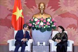 越南国会主席阮氏金银会见韩越友好议员小组主席金贺勇