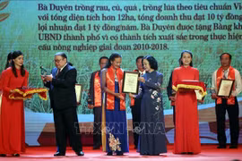 越南63名模范农民受表彰