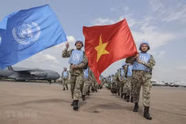 越南与联合国安理会：强化越南为世界和平贡献力量的承诺