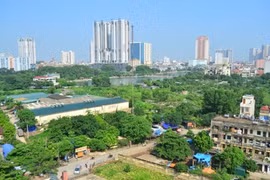 2021-2030年阶段和远期展望至2050年国家林业规划制定任务审查理事会成立