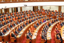 越南共产党第十二届中央委员会第十一次全体会议公报
