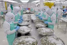越南水产品对中国的出口活动呈现复苏态势