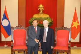 培育越老关系