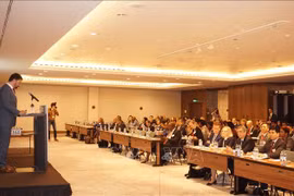  越南代表赴捷克出席第九届公共部门国际会议