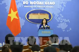 越南外交部发言人：越南要求严格处理韩国丈夫暴打越南妻子一案