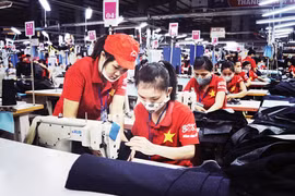 年底胡志明市就业市场呈现出活跃发展态势