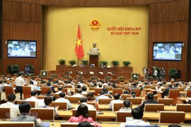 越南第十四届国会第八次会议：对四个领域小组进行质询