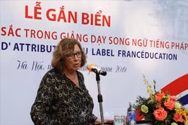越南是亚洲法语国家国际组织的支柱