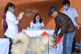 年初至今越南狂犬病死亡病例46例