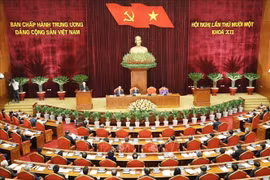 越共十二届中央委员会第十一次全体会议公报（第二号）