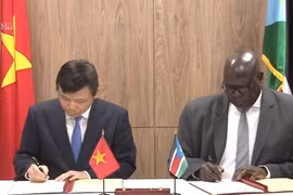 越南与南苏丹正式建立外交关系