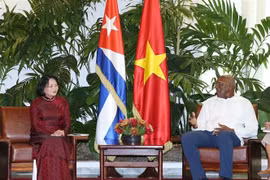 越南国家副主席邓氏玉盛对古巴进行正式访问