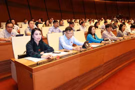越南第十四届国会第八次会议：通过关于批准《少数民族地区、山区、特困地区的经济社会发展总体提案》的决议