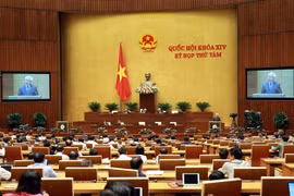 越南第十四届国会第八次会议：分组讨论两部法案 表决通过一项决议