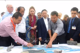 荷兰建议建造人工岛防治广南省会安海岸侵蚀