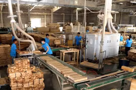 今年前七个月越南林产品出口实现贸易顺差近46亿美元