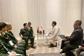 越南国防部长吴春历会见泰国副总理和印尼防长