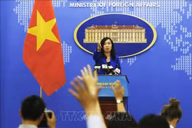 外交部发言人：美国国务院2018年人权报告不正确体现越南实际情况