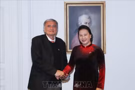 国会主席阮氏金银会见法越友好小组秘书长阿尔尚博