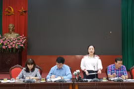 河内市将举行多项活动 庆祝荣获"国际和平城市"称号20周年