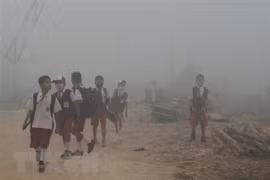 欧盟协助东盟实现泥炭地可持续利用和减少烟雾现象