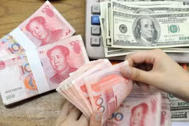 6月11日越盾兑美元中心汇率上涨7越盾