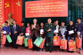 陈国旺同志赴山罗省拜年 张和平春节走访慰问同塔省优抚家庭和贫困群众