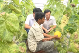 清化省力争2020年前再添569个安全食品供应链 