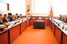 越南与墨西哥第五次政治磋商在墨西哥举行