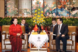 越南国会主席阮氏金银会见中国江苏省省委书记