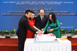 胡志明市愿与新加坡促进友好合作关系