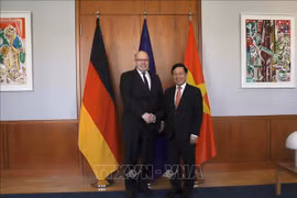 进一步加深越德战略伙伴关系