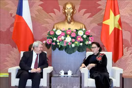 阮氏金银会见捷克众议院副议长沃伊杰赫•菲利普