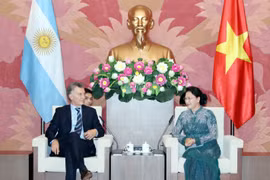 越南国会主席阮氏金银会见阿根廷总统马克里