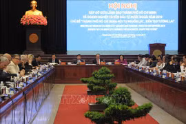 外资企业承诺为推动胡志明市增长建言献策