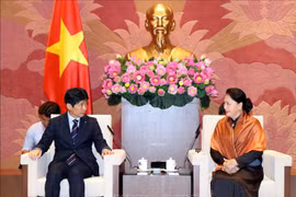 阮氏金银主席会见日本群马县代表团