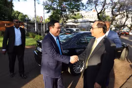 越南政府副总理王廷惠对南非进行工作访问