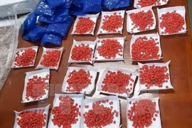 山罗省：逮捕非法贩运毒品的一名老挝籍嫌犯