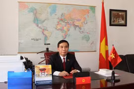 越南驻罗马尼亚大使邓陈风：越南政府总理阮春福访罗为提升越南与罗马尼亚合作水平注入新动力