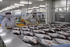 美国承认越南无鳞鱼类产品食品安全检验体系等效性