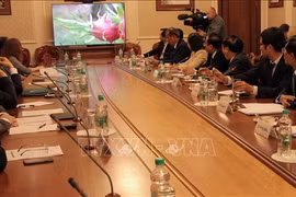 推动越南平顺省与俄罗斯省卡卢加州的合作