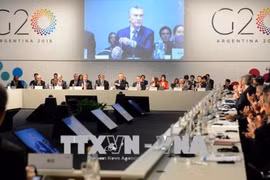 越南成为国际社会在解决国际事务中的可靠伙伴