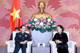 越南国会主席阮氏金银会见中国国防部部长魏凤和