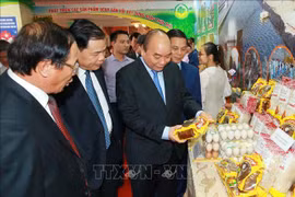 阮春福呼吁各阶层人民同心协力，共建新农村，建设富饶、美丽、文明的海防市