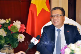 越南副外长邓明魁：越缅深化双方合作关系 紧密携手共同度过难关