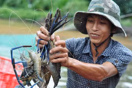 坚江省部分产品出口呈上升趋势