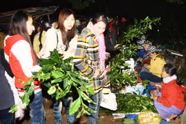 大年初二到广治省赶夜市