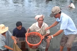 海洋经济为薄辽省主要经济支柱