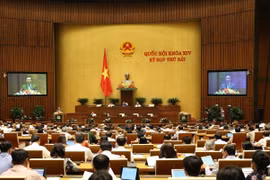 第十四届国会第七次会议：确保《保险法》与《知识产权法》符合全球化要求