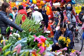 在河内中心感受昔日春节氛围